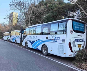 大巴车